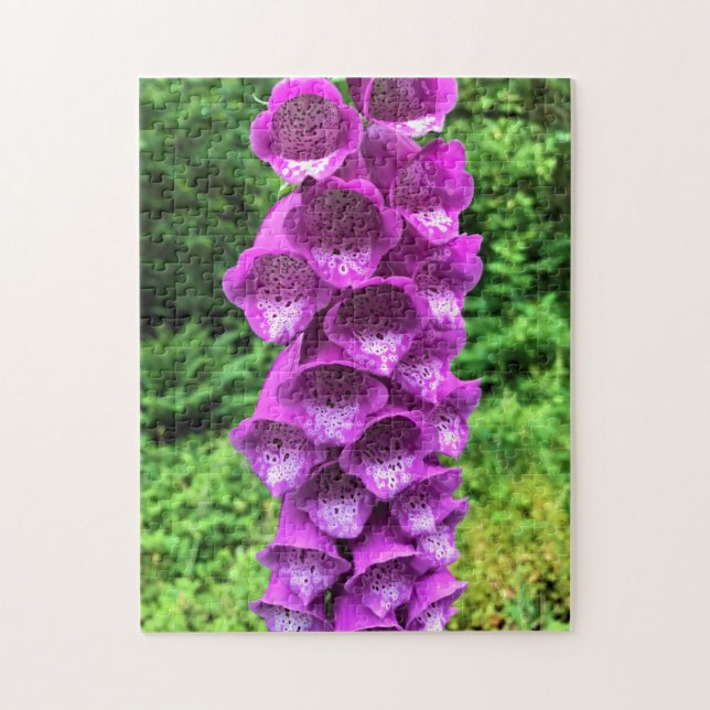 Puzzle Flores de Foxglove, Oregón (Vertical)