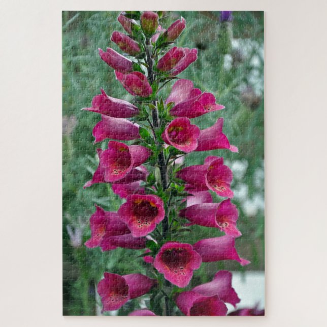 Puzzle Flores de foxglove rosas (Vertical)