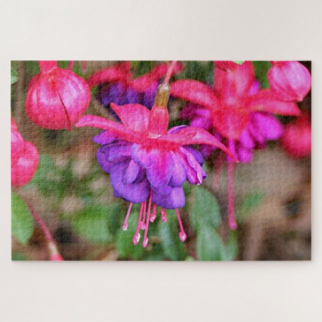 Puzzle Flores de fucsia rosa y morada en flor (Horizontal)