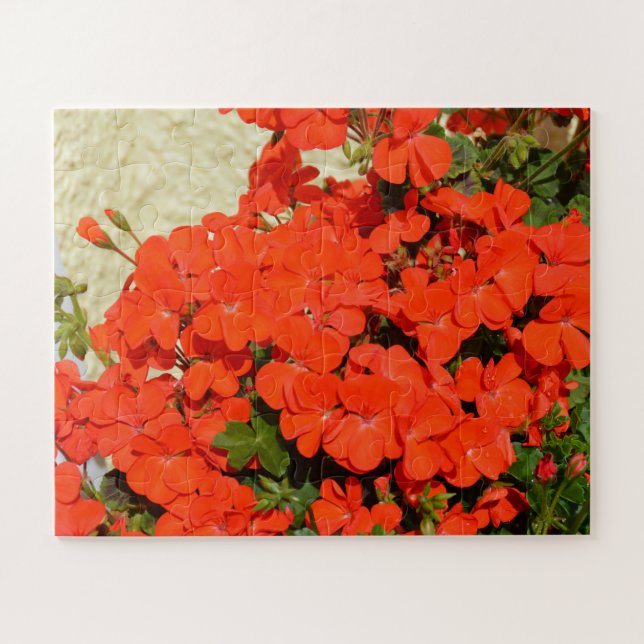 Puzzle flores de geranio naranja (Horizontal)