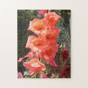 Puzzle Flores de gladiolos rojos