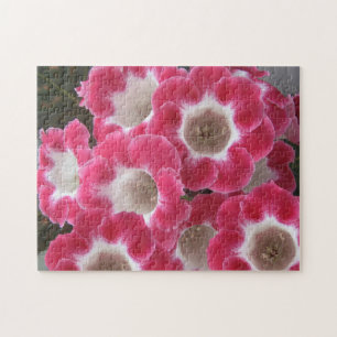 Puzzle Flores de gloxinia rojas y blancas.