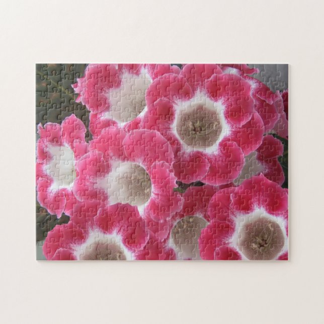 Puzzle Flores de gloxinia rojas y blancas. (Horizontal)
