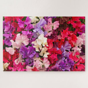Puzzle Flores de guisantes dulces en flor