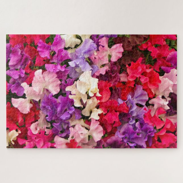 Puzzle Flores de guisantes dulces en flor (Horizontal)