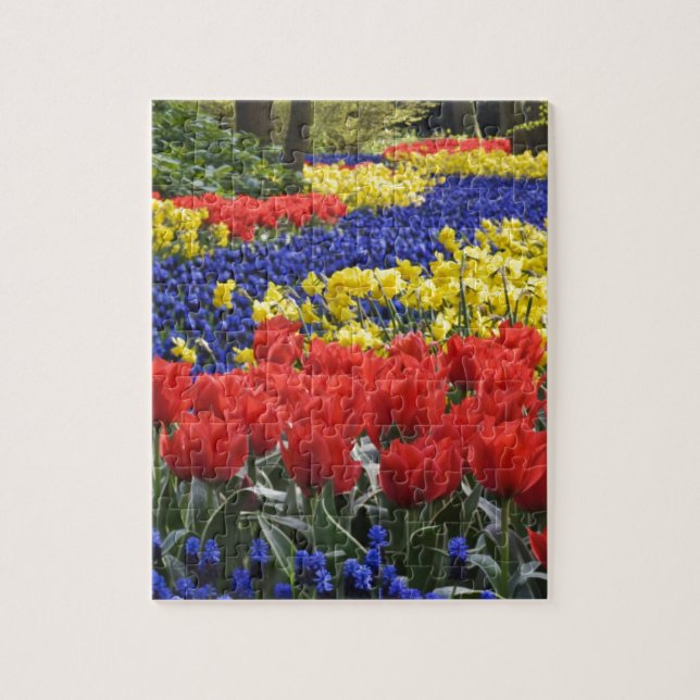 Puzzle Flores de Holanda, Keukenhof (Vertical)