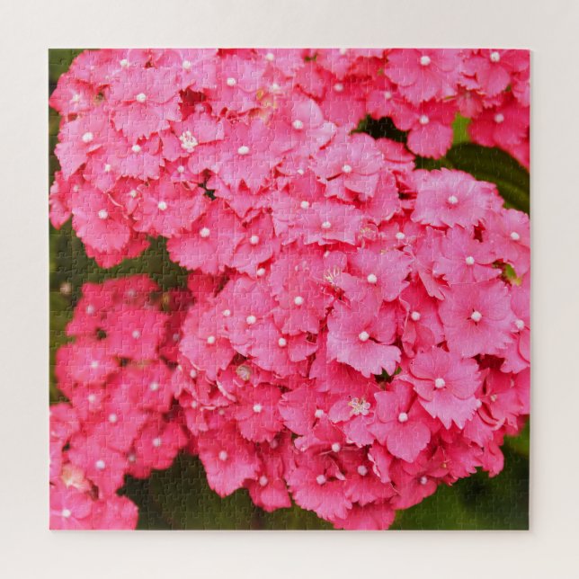 Puzzle Flores de horangea rosada (Vertical)