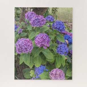 Puzzle Flores de Hortensias Azules y Rosadas Floral