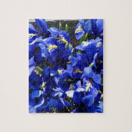 Puzzle Flores de iris azules en el jardín