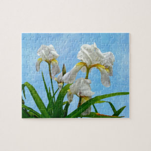 Puzzle Flores de iris con barba blanca