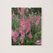 Flores de jardín de primavera