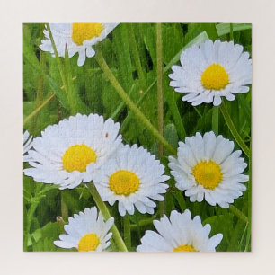 Puzzle Flores de jardín silvestre Rumania – Fotografía de