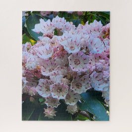 Puzzle Flores de laurel de montaña rosa y blanca