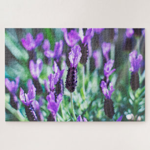 Puzzle Flores de lavanda púrpura