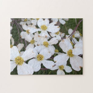 Puzzle Flores de madera de madera blanca Fotografías de r