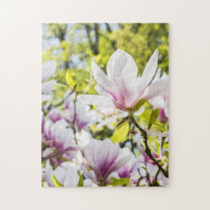 Puzzle Flores de magnolia en primavera