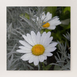 Puzzle Flores de margarita Shasta y Artemisia