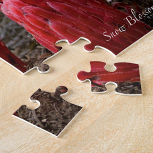 Puzzle Flores de nieve