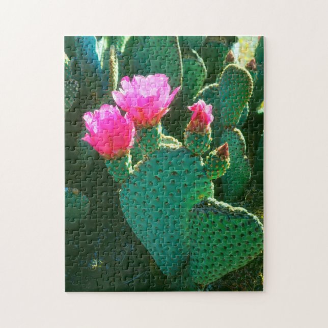 Puzzle Flores de Opuntia basilaris (Vertical)