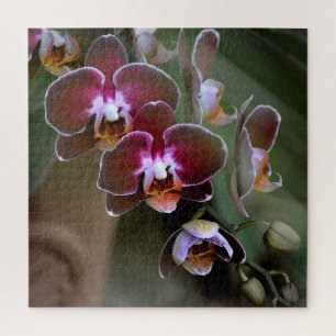 Puzzle Flores de orquídeas moradas y marrones
