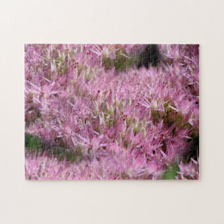 Puzzle Flores de otoño rosadas multiplicadas por sedum