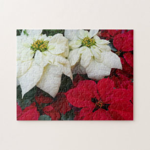 Puzzle Flores de Pascua Blancas y Rojas II Fiesta de Navi