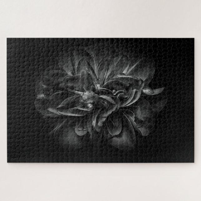 Puzzle Flores De Patio Trasero En Blanco Y Negro 67 (Horizontal)