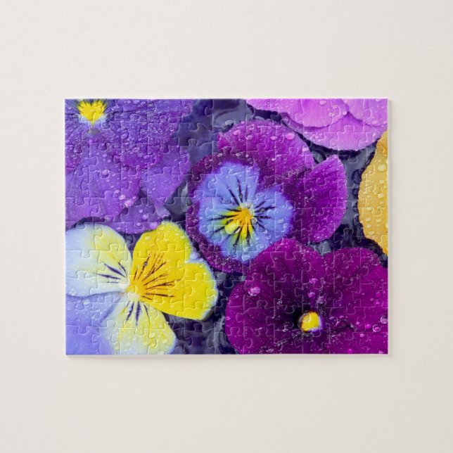 Puzzle Flores de pensamiento flotando en baño de pájaros  (Horizontal)