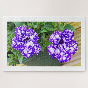 Puzzle Flores de Petunia
