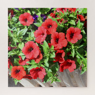 Puzzle Flores de petunia rojas