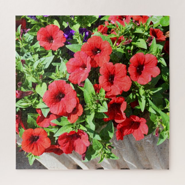 Puzzle Flores de petunia rojas (Vertical)