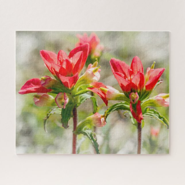 Puzzle Flores de pincel indio de Texas sobre blanco (Horizontal)