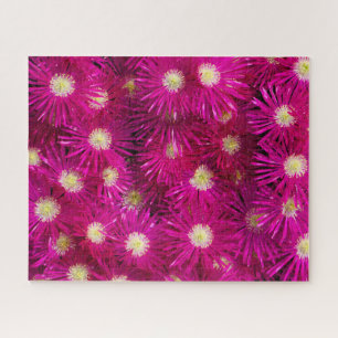 Puzzle Flores de plantas de hielo rosa