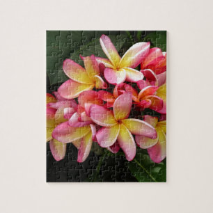 Puzzle Flores de Plumeria Tropical Rosa y Amarilla