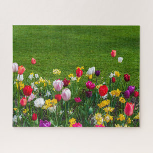 Puzzle Flores de primavera