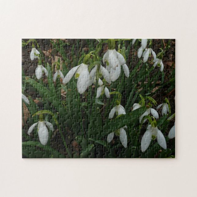 Puzzle Flores de Primavera Blanca (Galanthus) (Horizontal)
