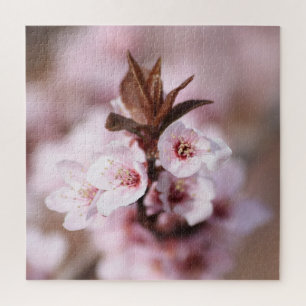 Puzzle Flores de primavera de ciruela en nube negra
