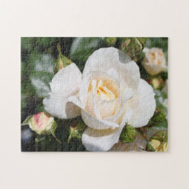 Puzzle flores de rosa blanco puro bonito. amor, romance