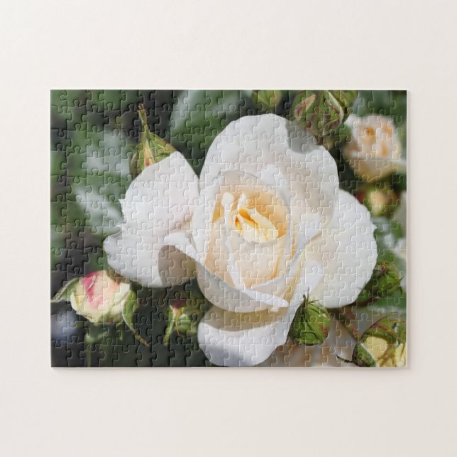 Puzzle flores de rosa blanco puro bonito. amor, romance (Horizontal)