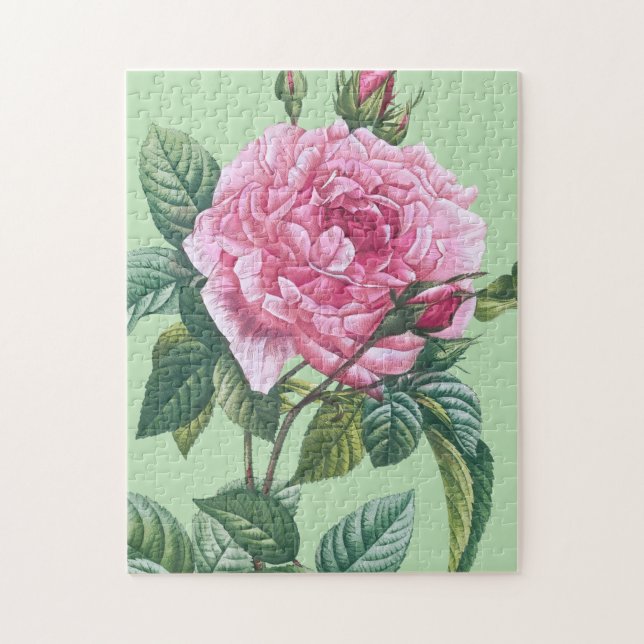 Puzzle Flores de Rosa Rosa con Hojas Verdes (Vertical)