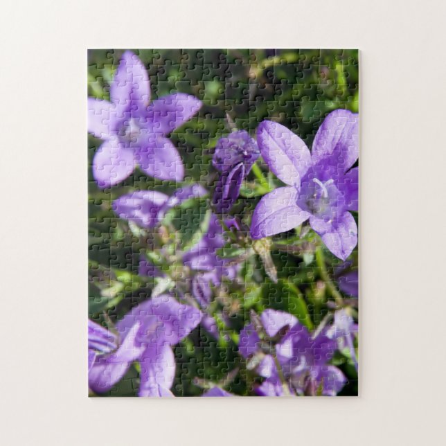 Puzzle Flores de verano. Jigsaws (Vertical)