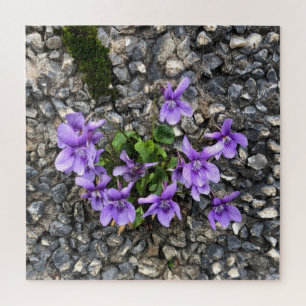 Puzzle Flores de Viola silvestre creciendo desde una pare