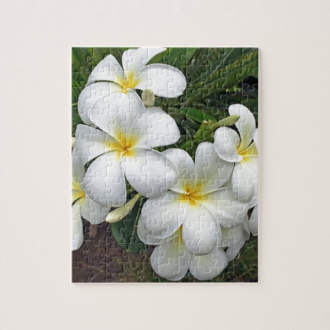 Puzzle Flores del Plumeria de Hawaii (Vertical)