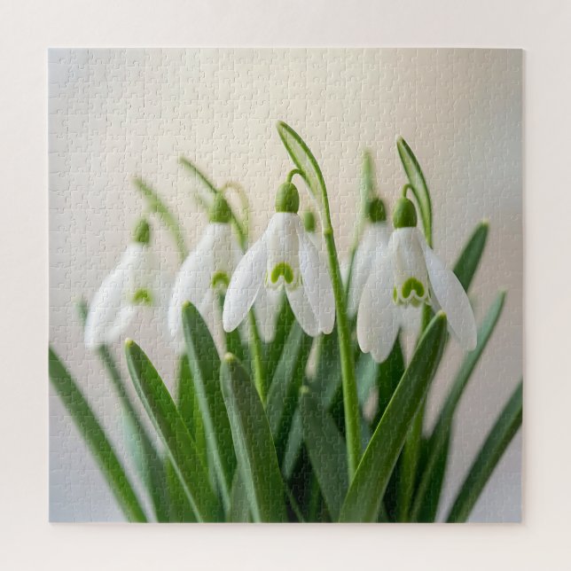 Puzzle Flores delicadas de snowdrop de primavera (Vertical)