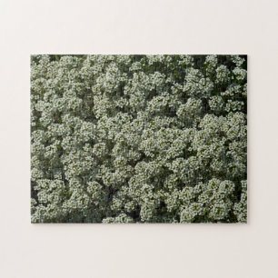 Puzzle Flores dulces de alyssum florales blancas
