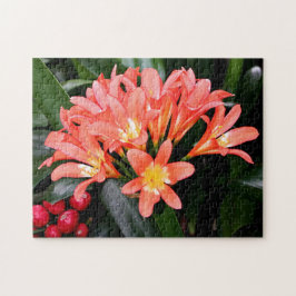 Puzzle Flores en flor de Clivia