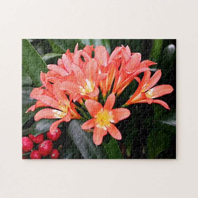 Puzzle Flores en flor de Clivia (Horizontal)