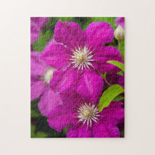 Puzzle Flores en Robinette's Apple Haus y Gift Barn 2