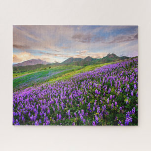 Puzzle Flores Flores silvestres de California