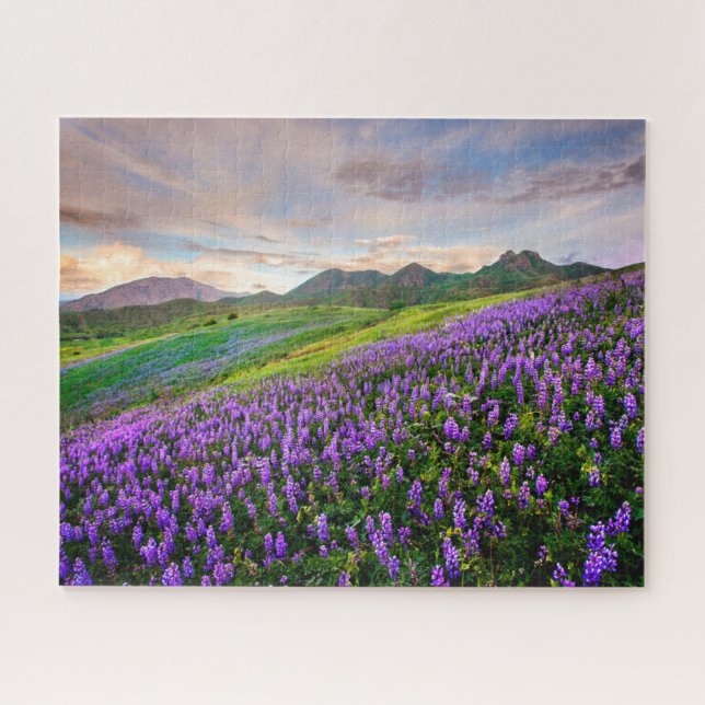 Puzzle Flores | Flores silvestres de California (Horizontal)